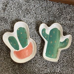 Succulent catch all tray dishes